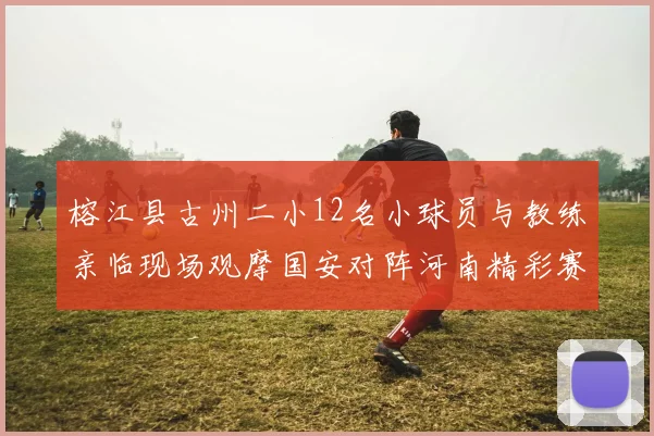 榕江县古州二小12名小球员与教练亲临现场观摩国安对阵河南精彩赛事